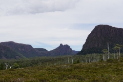 tasmanien 389 copyright piotr nogal