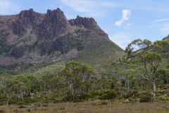 tasmanien 390 copyright piotr nogal