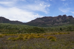 tasmanien 391 copyright piotr nogal