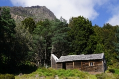 tasmanien 396 copyright piotr nogal