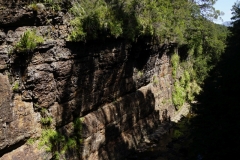 tasmanien 399 copyright piotr nogal tasmanien 399 copyright piotr nogal