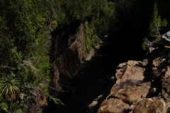 tasmanien 400 copyright piotr nogal tasmanien 400 copyright piotr nogal