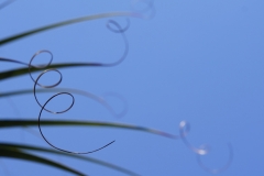 tasmanien 401 copyright piotr nogal tasmanien 401 copyright piotr nogal