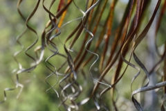 tasmanien 402 copyright piotr nogal tasmanien 402 copyright piotr nogal