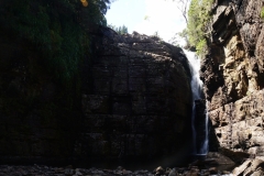 tasmanien 404 copyright piotr nogal tasmanien 404 copyright piotr nogal