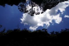 tasmanien 405 copyright piotr nogal tasmanien 405 copyright piotr nogal