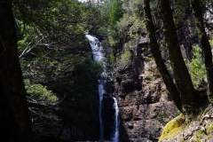 tasmanien 407 copyright piotr nogal tasmanien 407 copyright piotr nogal