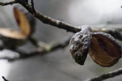 tasmanien 414 copyright piotr nogal