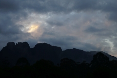 tasmanien 421 copyright piotr nogal tasmanien 421 copyright piotr nogal