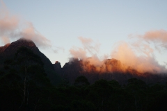 tasmanien 422 copyright piotr nogal tasmanien 422 copyright piotr nogal