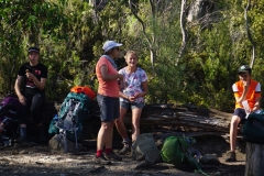 tasmanien 432 copyright piotr nogal tasmanien 432 copyright piotr nogal