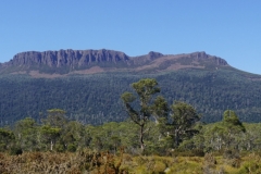 tasmanien 433 copyright piotr nogal