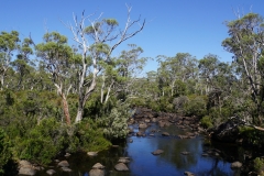 tasmanien 436 copyright piotr nogal tasmanien 436 copyright piotr nogal