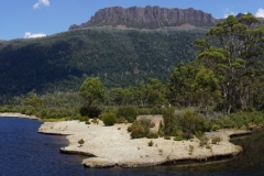 tasmanien 437 copyright piotr nogal