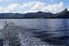 tasmanien 439 copyright piotr nogal tasmanien 439 copyright piotr nogal