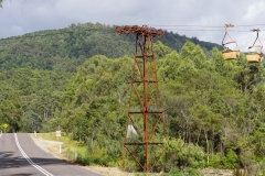 tasmanien 446 copyright piotr nogal