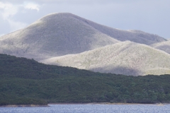 tasmanien 459 copyright piotr nogal