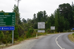 tasmanien 492 copyright piotr nogal
