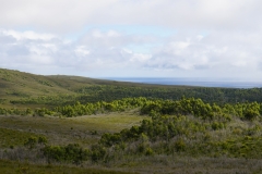 tasmanien 498 copyright piotr nogal