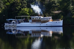 tasmanien 504 copyright piotr nogal