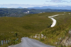 tasmanien 508 copyright piotr nogal