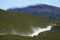 tasmanien 509 copyright piotr nogal
