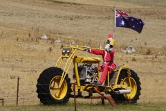 tasmanien 541 copyright piotr nogal