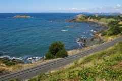 tasmanien 550 copyright piotr nogal