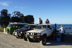 tasmanien 552 copyright piotr nogal