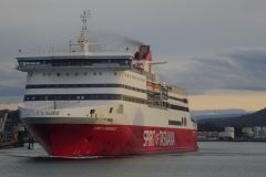tasmanien 562 copyright piotr nogal