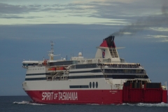 tasmanien 563 copyright piotr nogal