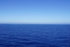 tasmanien 565 copyright piotr nogal