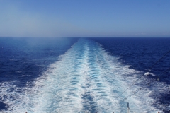 tasmanien 566 copyright piotr nogal