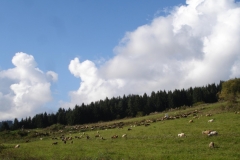 tatra piotr nogal noxot 005