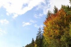 tatra piotr nogal noxot 015