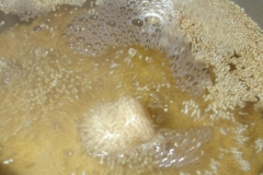 tatra piotr nogal noxot 023