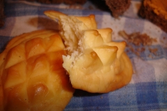 tatra piotr nogal noxot 068