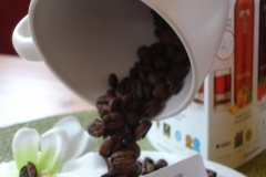 tatra piotr nogal noxot 072