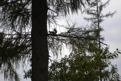 tatra piotr nogal noxot 076