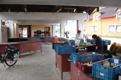 tatra piotr nogal noxot 114